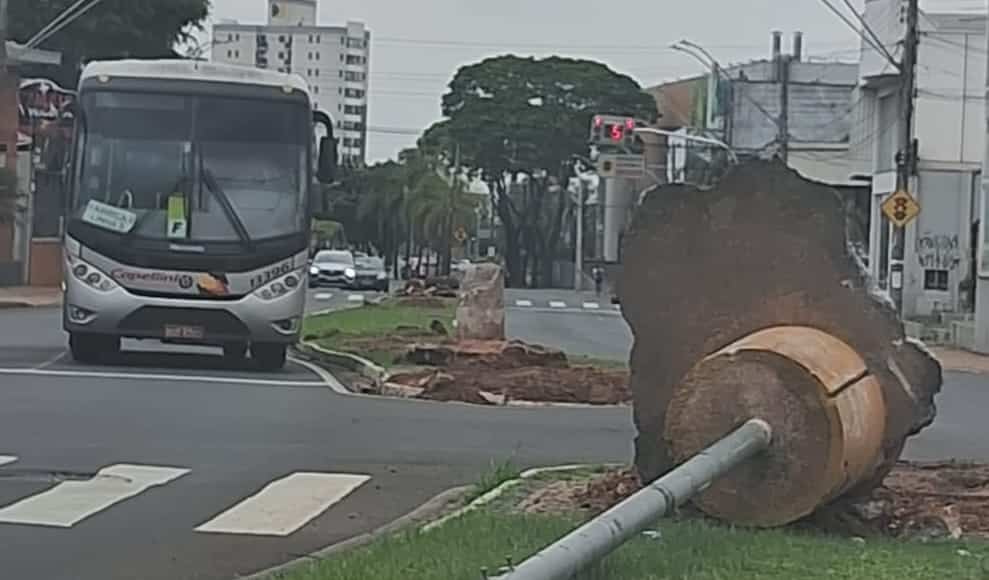 V Deo Trecho Da Avenida Rio Claro Segue Interditado At A Pr Xima