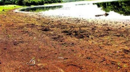 Situação das represas que abastecem Cordeirópolis está crítica gerando risco de colapso no abastecimento