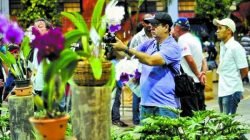 A expectativa dos organizadores é de que cerca de três mil plantas floridas fiquem em exposição, de 350 expositores