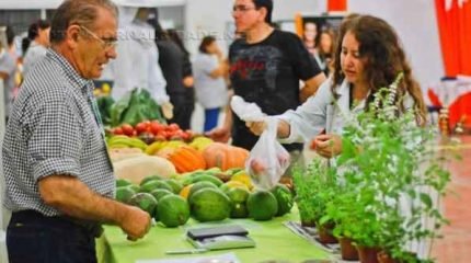 Banca de produtos na Feira Corujão realizada por produtores familiares da região. Evento acontece às quartas-feiras e sexta-feiras, das 18h às 21h