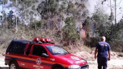 Segundo foco de incêndio em dois dias no Horto Florestal em Rio Claro