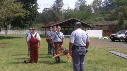 Equipe do Canil da Polícia Militar de Rio Claro