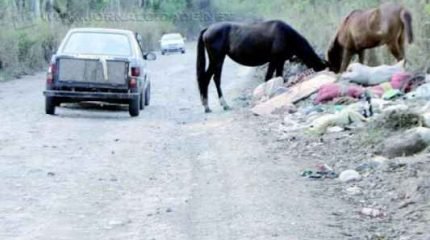 UM DIA O ASFALTO CHEGA: prefeitura assegura que espera por providências do governo estadual para dar início às benfeitorias no final da Rua Jacutinga