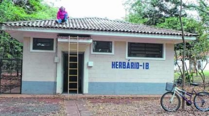 Vista do prédio que abriga o Herbário Rio-clarense localizado no campus da Unesp