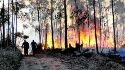 Corpo de Bombeiros e Defesa Civil atenderam a ocorrência