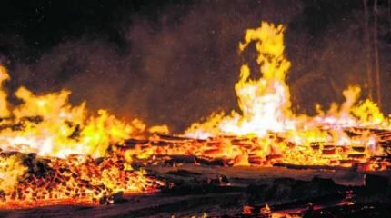 Incêndio no fim de semana atingiu uma área de cinco hectares do antigo Horto Florestal