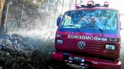 Floresta Estadual vem sofrendo com incêndios há semanas