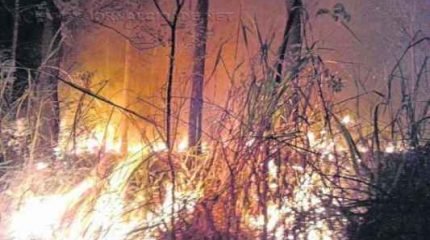 Foto enviada pelo leitor Paulo R. Ortiz mostra um dos dois incêndios que atingiram a Floresta Estadual na sexta e no sábado