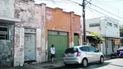 Dois imóveis malconservados abrigam abelhas; a retirada da colmeia não é possível, já que o proprietário mora em São Paulo