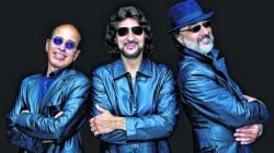 Trio foi considerado em 2003 um dos três melhores covers de Bee Gees do mundo; show acontece a partir das 23h e ingressos estão à venda (Foto:Divulgação)