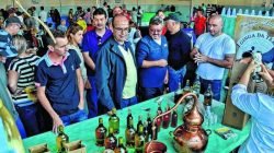 QUALIDADE: a organização do evento informa que a festa contará com a participação de 14 produtores de nossa região