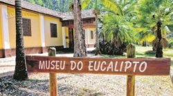 Fachada do prédio do Museu do Eucalipto, que fica junto à sede da Floresta Estadual - FEENA