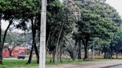 Pichações compõem cenário de praça na Rua 10 do bairro Santana. Espaço carece de mais luminárias