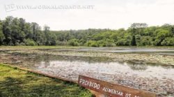 Floresta Estadual - O antigo Horto Florestal é um dos locais preferidos dos rio-clarenses. Organize um piquenique com os amigos no campo em frente ao lago. Lembre-se de levar repelente para a pele e sacos plásticos para guardar o lixo.