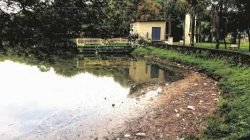 Lixo acumulado às margens do Lago Azul de Rio Claro. Prefeitura pede colaboração dos usuários no descarte correto do lixo