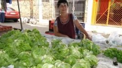 Maria Carrocher trabalha na Feira de São Benedito e diz sentir muito os efeitos da chuva