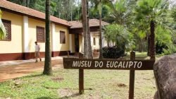 O Museu do Eucalipto, reaberto oficialmente na última quarta-feira (30)