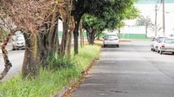 Veículo estacionado irregularmente junto ao canteiro central na Avenida 2, próximo da Rua 14, no bairro Cidade Claret