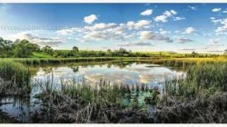 A fotografia “Lagoa”, de Filippo Fazanaro Ferrari, ganhou a primeira colocação do 8º Concurso Fotográfico Rio Claro Revela sua História. Exposição poderá ser visitada gratuitamente até o dia 31 de julho