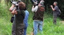 Especialistas em aves observando espécies na Floresta Estadual Edmundo Navarro de Andrade