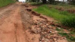 Foto feita por leitor do JC mostra as condições da estrada que leva ao bairro Nova Analândia