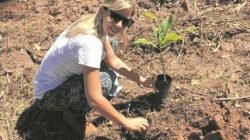 População doa seu tempo para plantar mudas nativas em áreas do Horto Florestal. Esta é a 3ª etapa do replantio na floresta