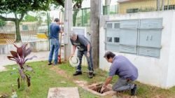 Creche Arlindo Ansanelo, que hoje atende 28 alunos, será transferida para o prédio no bairro Santana e vai aumentar em mais de 500% a quantidade de crianças atendidas.