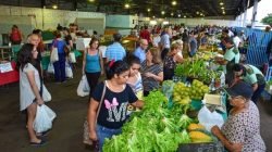 São 65 produtores que comercializam frutas, verduras, pães, queijos, temperos, entre outros itens