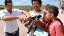 Ação do Centro de Controle de Zoonoses começou pela área rural, em Itapé. Cães e gatos a partir de cinco meses devem ser vacinados contra raiva.