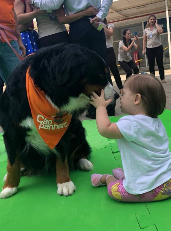 Encontro de Berneses de Piracicaba