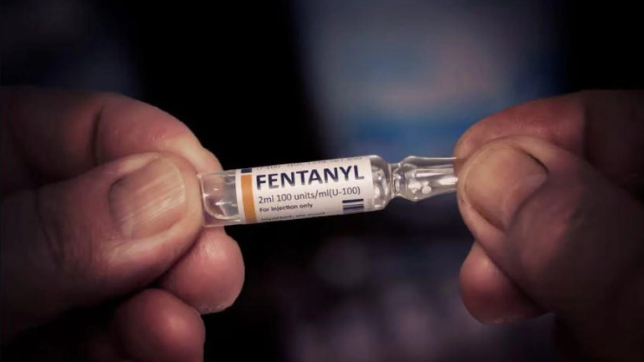 Fentanil: os efeitos e os riscos da droga 50 vezes mais potente que a  heroína