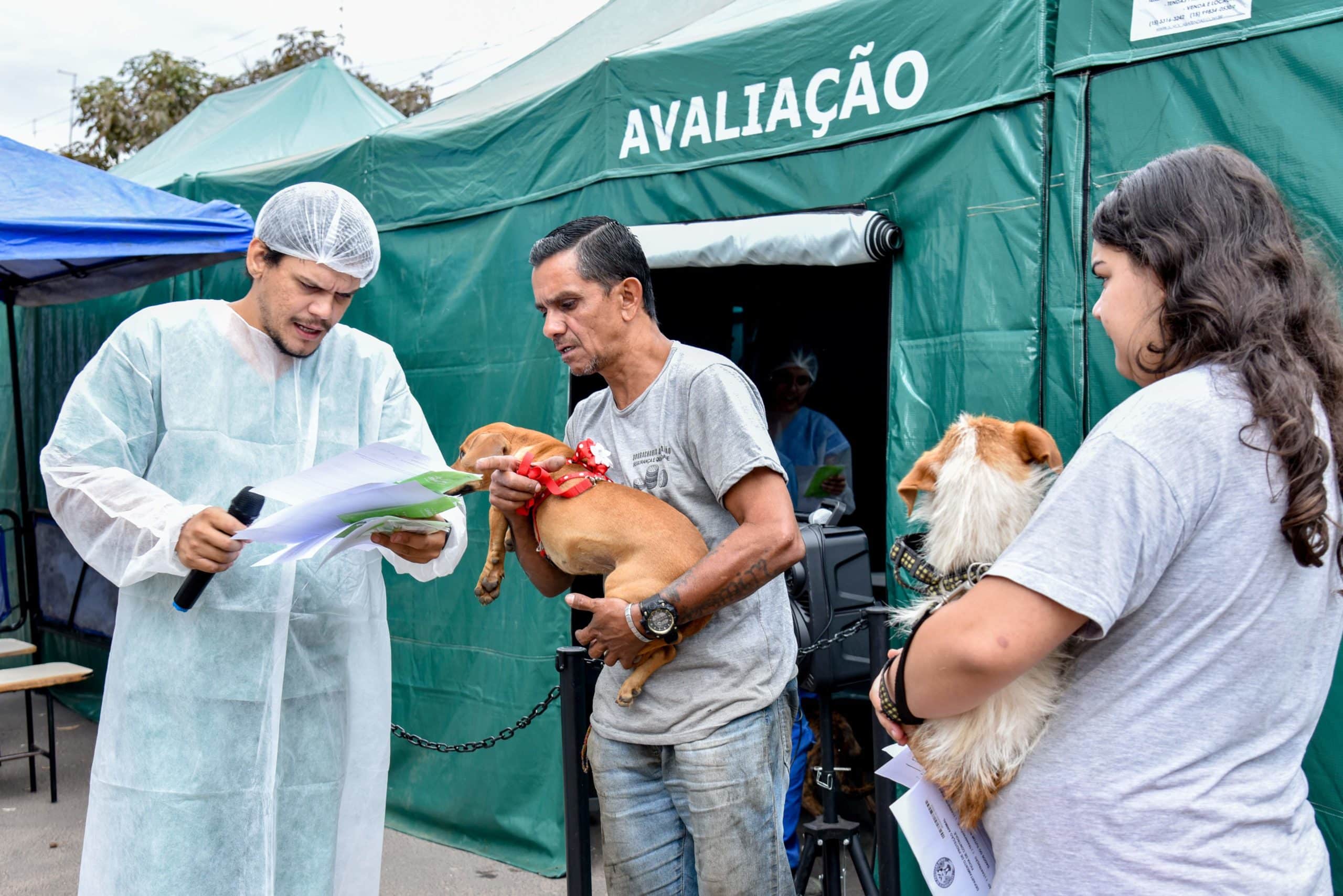 Rio Claro agenda castração animal gratuita