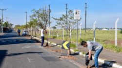 Obras de revitalização na João Polastri